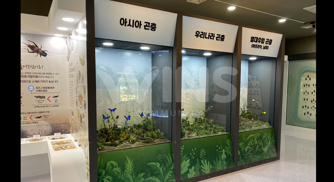 농촌진흥청 잠사박물관 리뉴얼2_곤충관